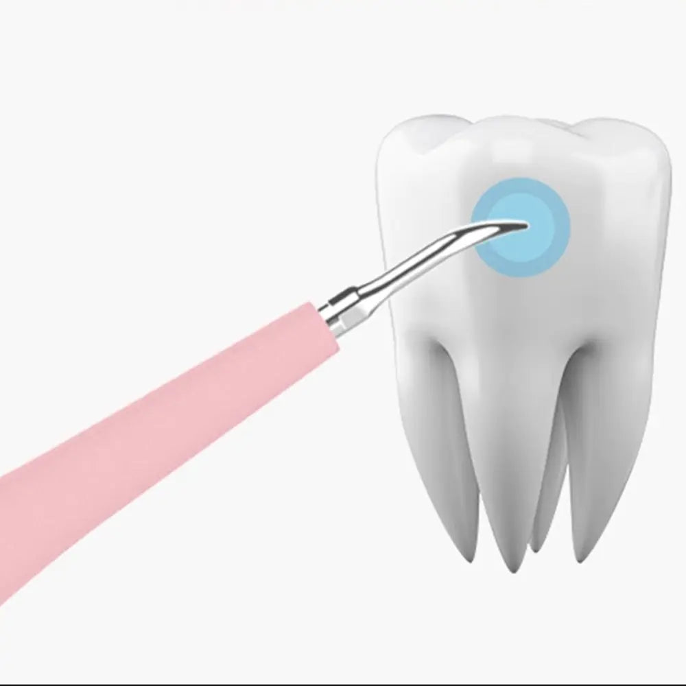 Portable Electric Sonic Dental Scaler