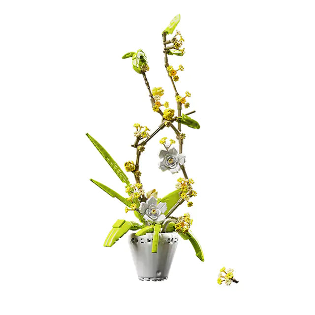 Phalaenopsis Bouquets Bricks Set