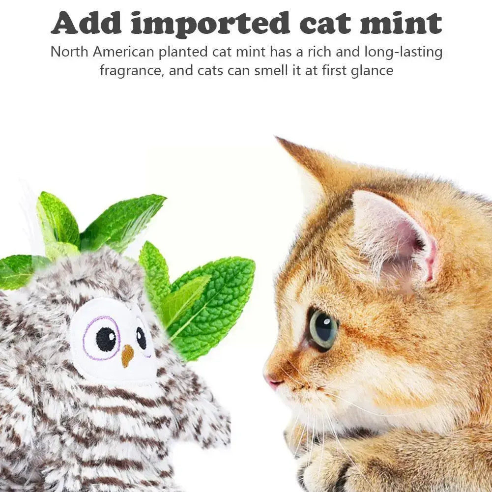 Owl Cat Toys