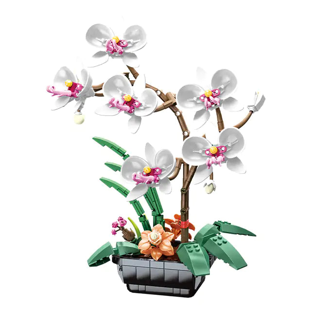 Phalaenopsis Bouquets Bricks Set