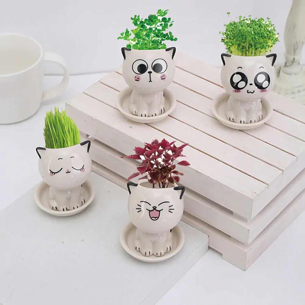 Mini Cat Shaped Cartoon Ceramic Flowerpot