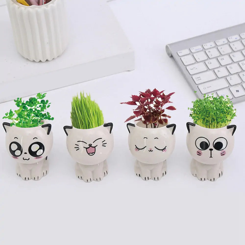 Mini Cat Shaped Cartoon Ceramic Flowerpot